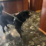 Bergamo Mare Mhotelsgroup 3* San Bartolomeo Al Mare