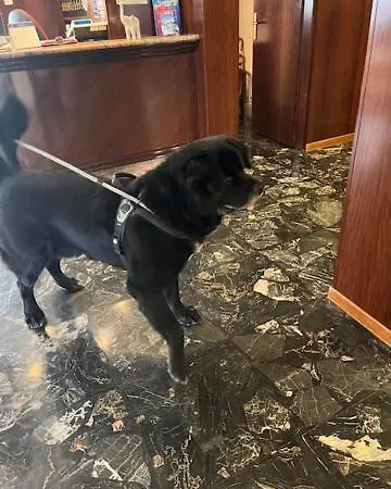 Bergamo Mare Mhotelsgroup 3* San Bartolomeo Al Mare